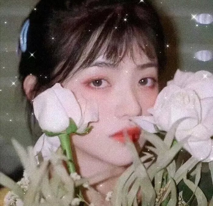 拥抱春天罗曼史